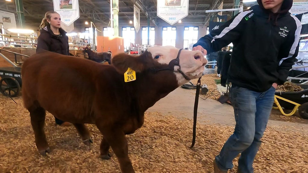 Spotlight on beef as Minnesota midterms near — WCCO / CBS Minnesota, Chanhassen Community news