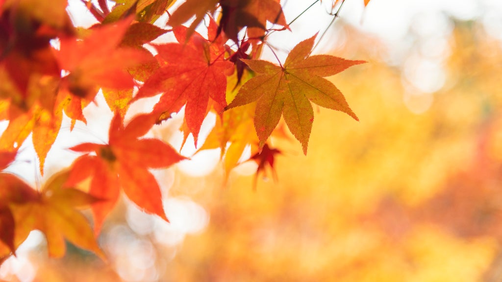 More sunny, mild late October weather in Minnesota Tuesday — WCCO / CBS Minnesota, Chanhassen Business news