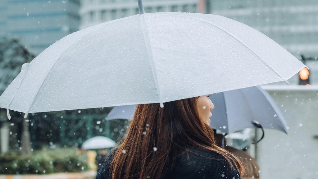 Soggy, chilly Thursday in the Twin Cities; season's first frost possible Saturday — WCCO / CBS Minnesota, Chanhassen Sports news