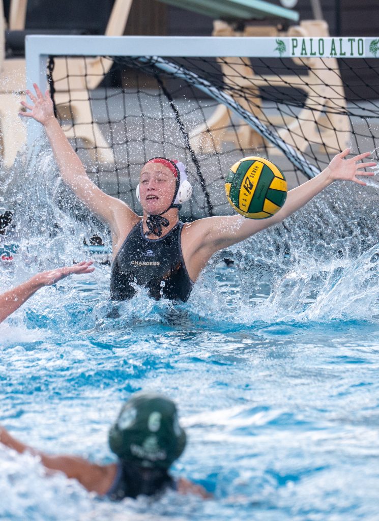 Wilcox Water Polo Caught in Vikings Rip Current — Silicon Valley Voice, Chanhassen Sports news