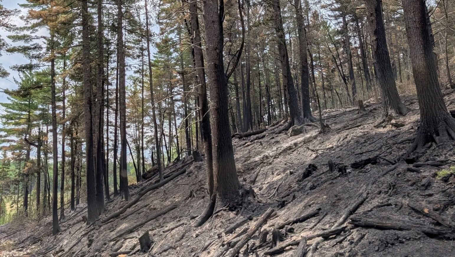74-year-old who became separated from his family on a trail in Ely was discovered dead — KSTP 5, Chanhassen Community news