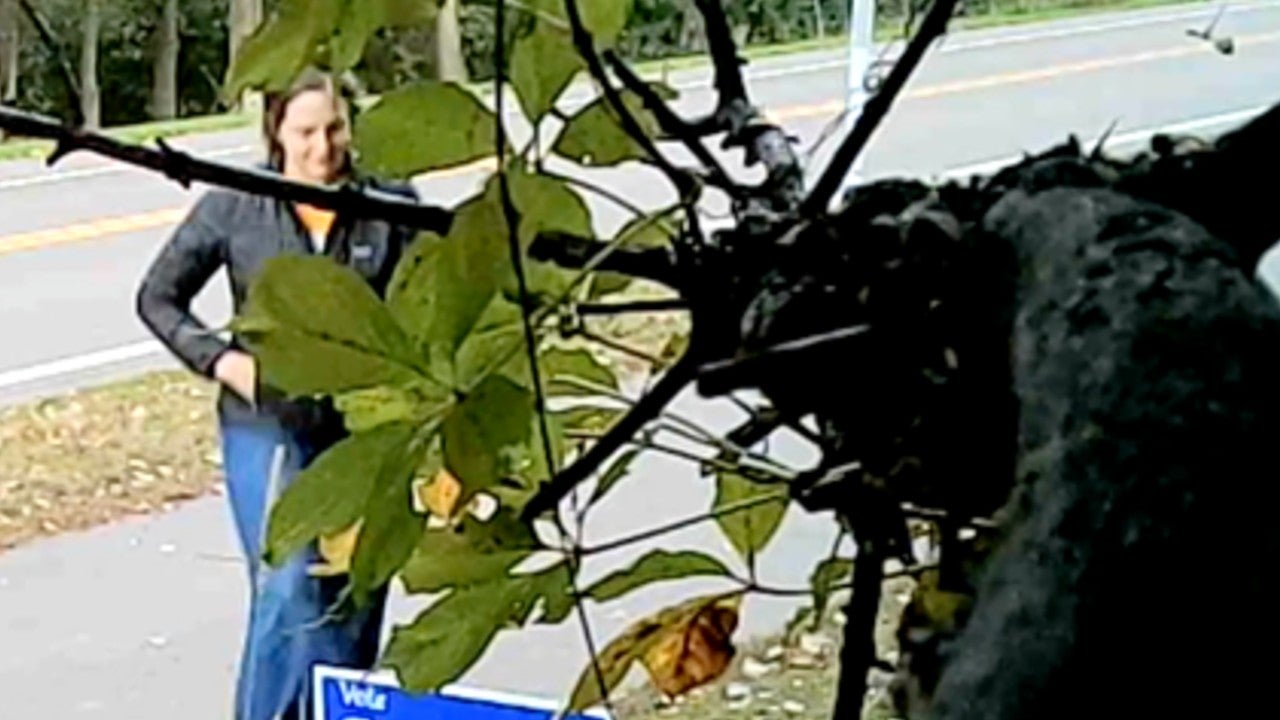Video: Vadnais Heights council member removes mayoral candidate’s campaign sign, tosses it aside — KSTP 5, Chanhassen Real Estate news