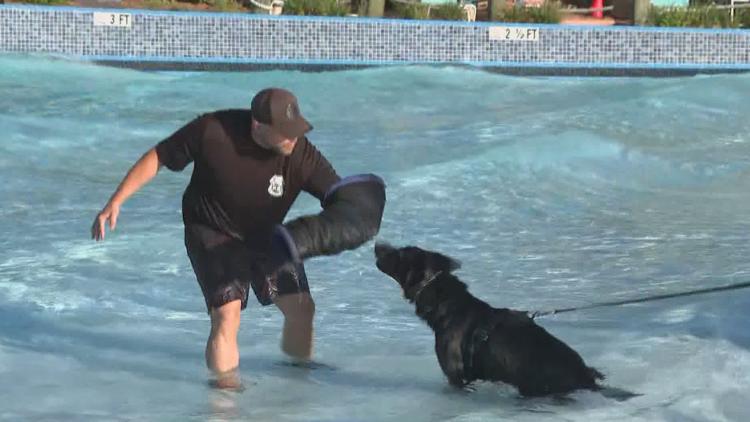 Tampa police K-9s train at theme park to prepare for emergencies — WTSP 10 Tampa Bay, Chanhassen Community news