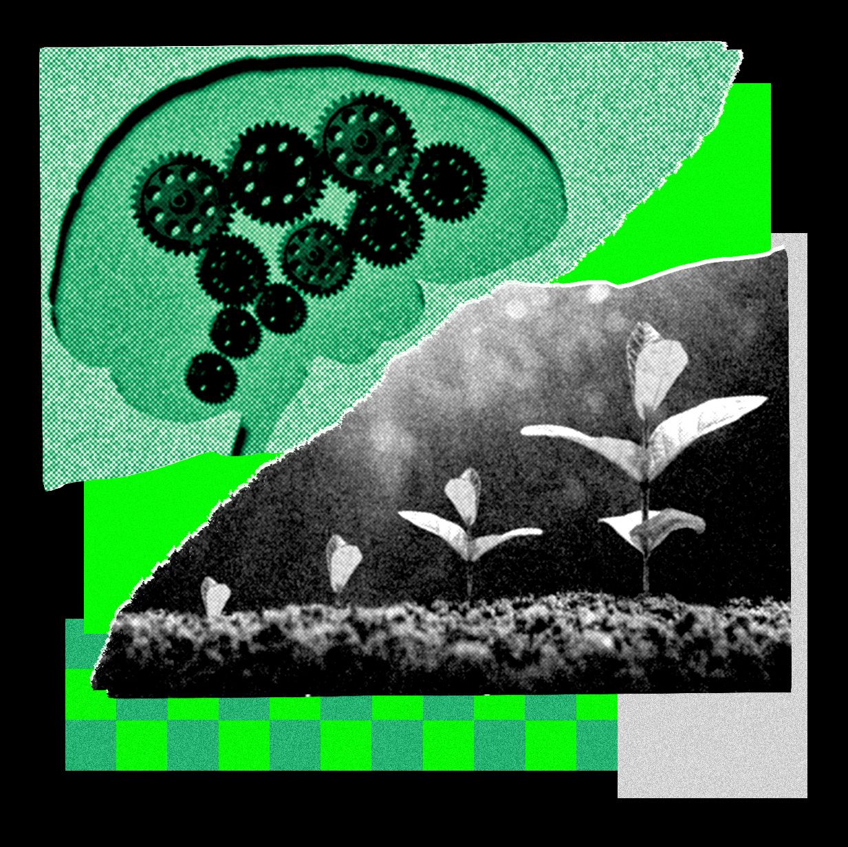 This Startup Is All In on Recursive Self-Improvement. Its Latest Model Is Scary Good — Wired, Chanhassen Technology news