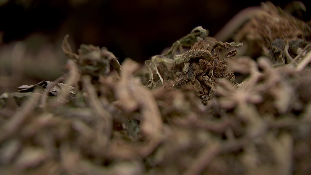 Hemp THC deadline hits $200 million industry, leads to layoffs, but liquor stores may maintain — FOX 9, Chanhassen Business news