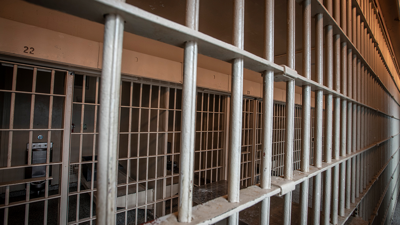 Lake County Jail attack: Guard suffers traumatic brain injury after inmate attacks her — FOX 9