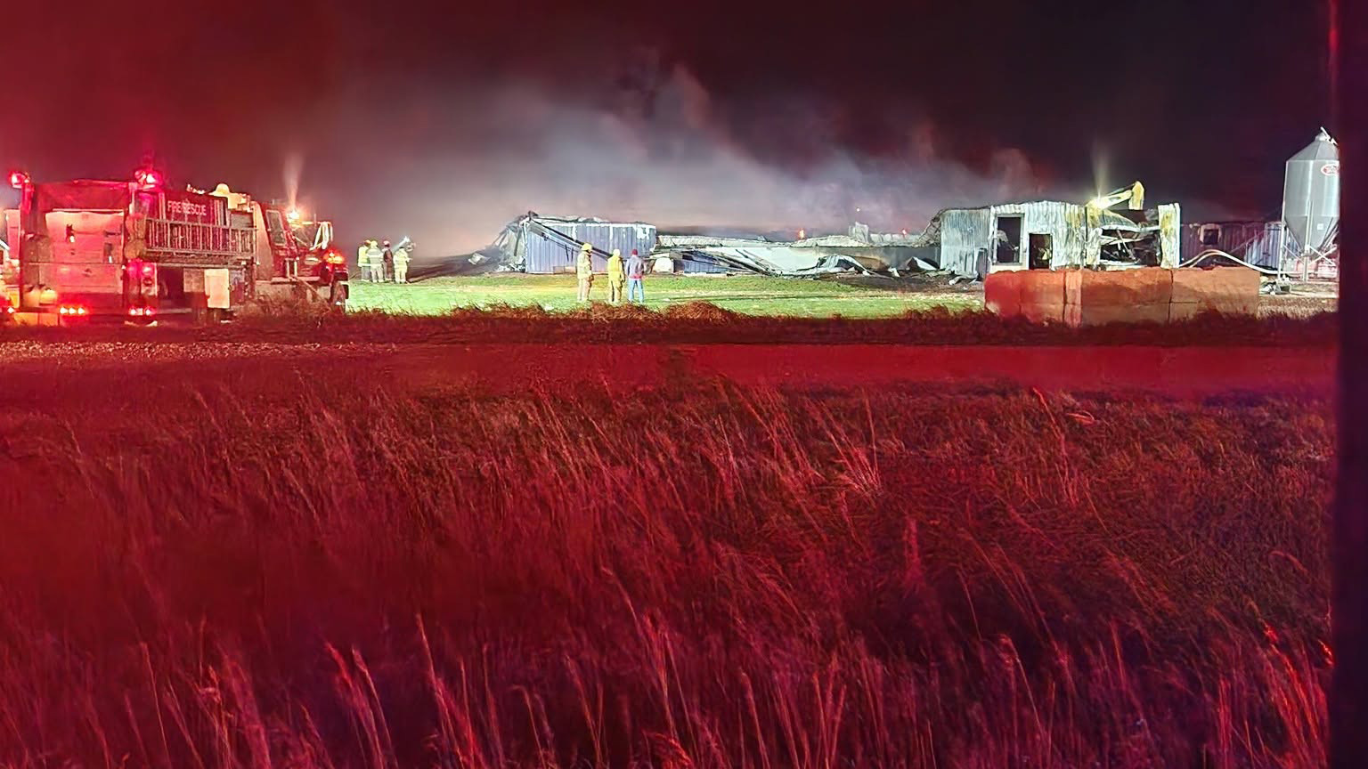 2,400 hogs die in Iowa barn fire — FOX 9, Chanhassen Community news