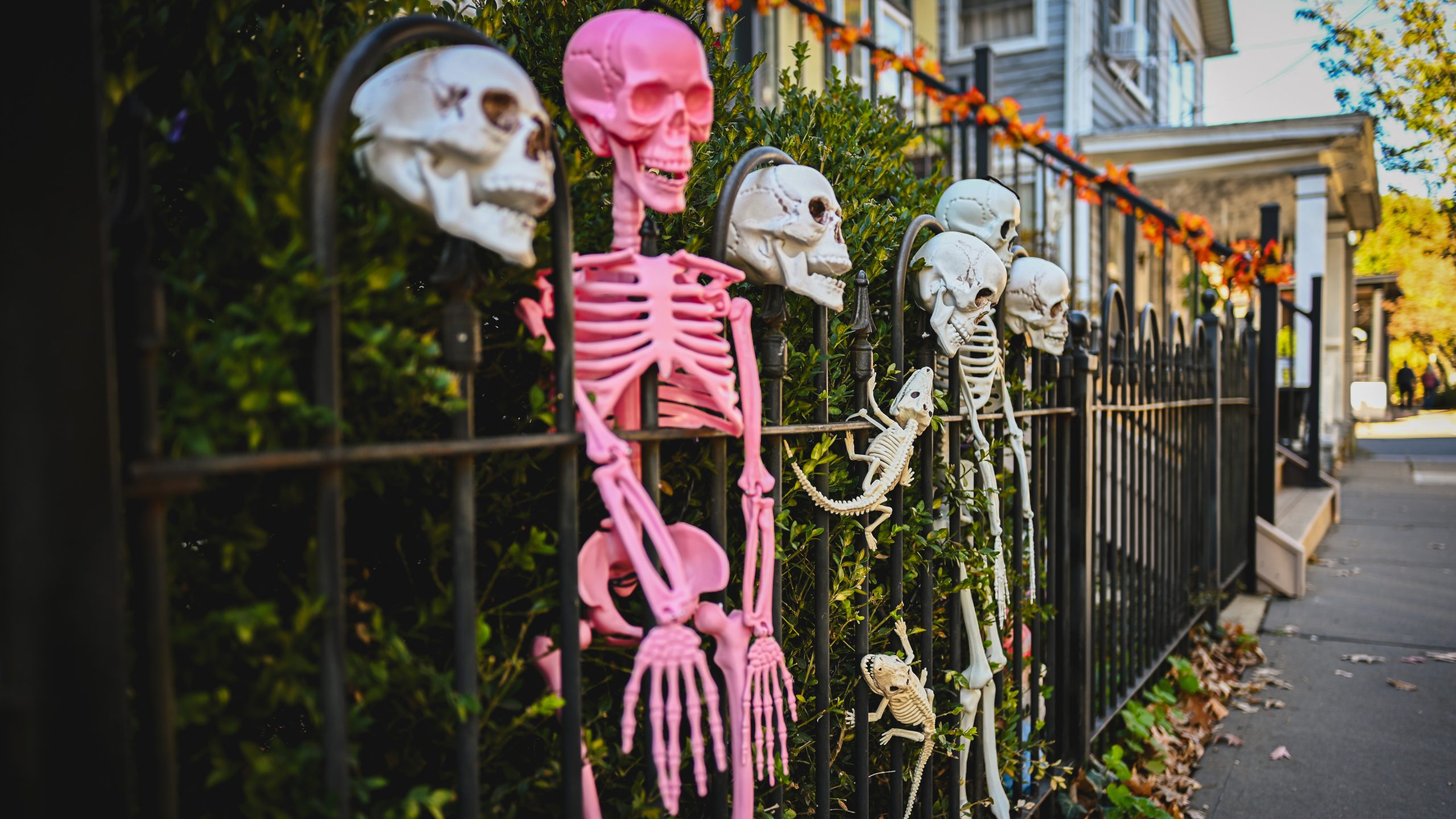 America's best cities for Halloween, ranked — FOX 9, Chanhassen Community news