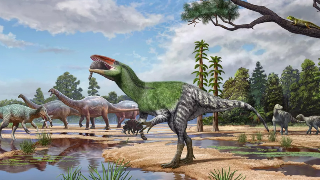 New long-clawed dinosaur species identified from century-old fossil in museum drawer — FOX 9