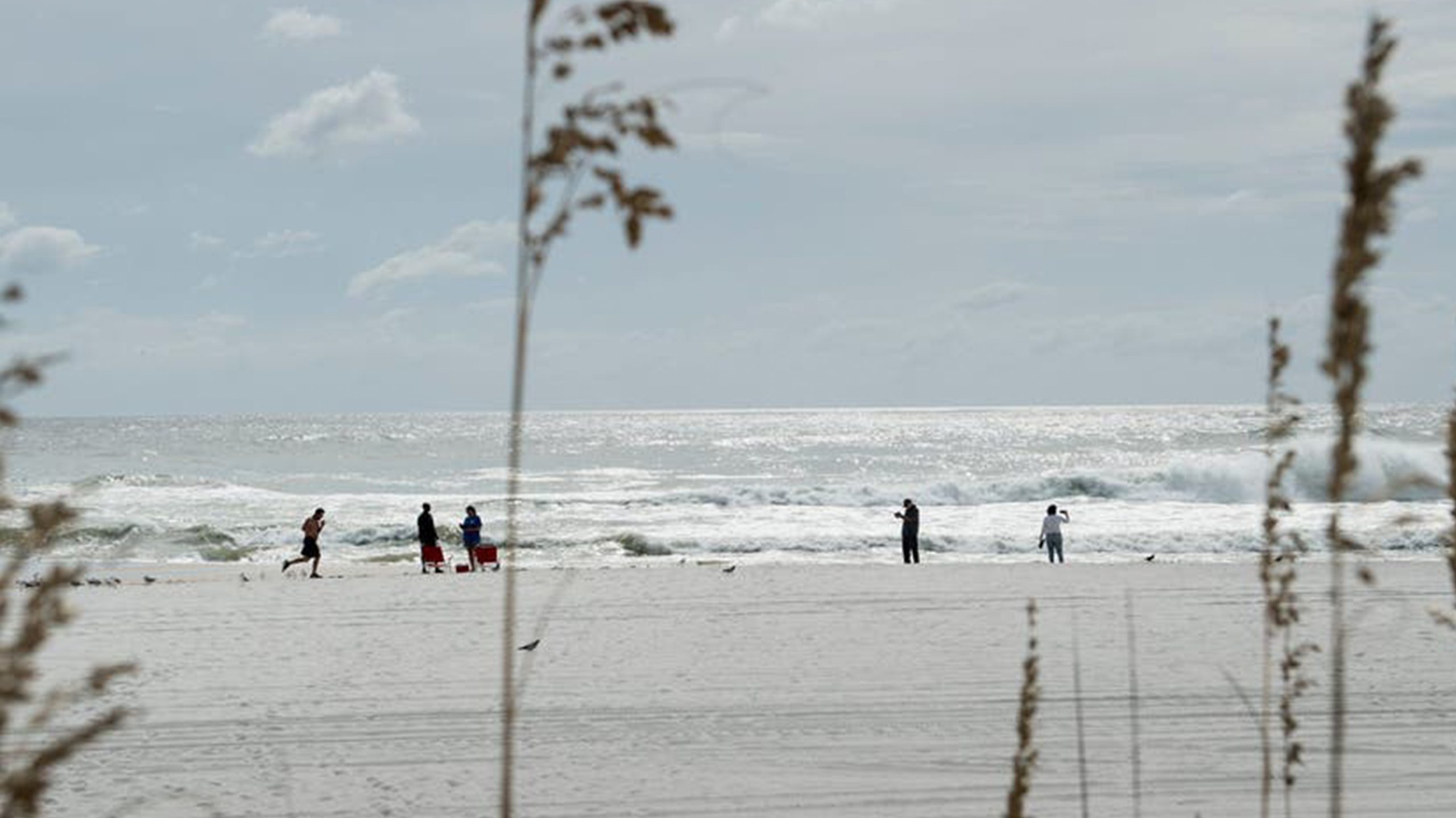 Father of 2 drowns after being caught in current trying to rescue seagull caught in fishing line — Chanhassen Community news